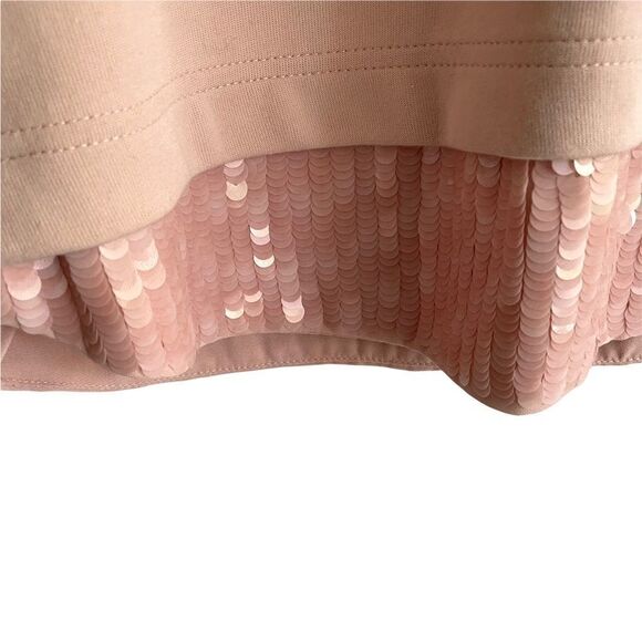 (SOLD) J. CREW Crew Neck 3/4 Sleeve Sequin Trim Sweatshirt Top Pink M - Picture 9 of 12